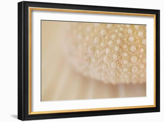 Ocean Treasures XV-Karyn Millet-Framed Photographic Print