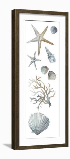 Ocean Treasures-Sandra Jacobs-Framed Giclee Print
