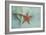 Ocean Treasures-Jai Johnson-Framed Giclee Print