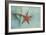 Ocean Treasures-Jai Johnson-Framed Giclee Print