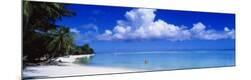 Photographic Print