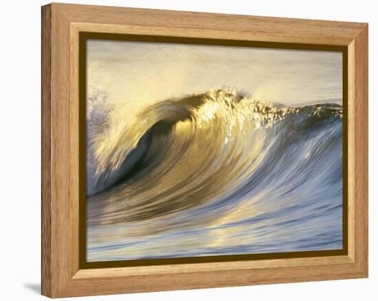 Ocean Wave Breaking-David Pu'u-Framed Premier Image Canvas