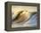 Ocean Wave Breaking-David Pu'u-Framed Premier Image Canvas