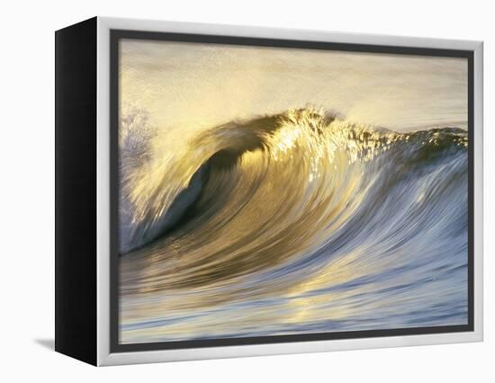 Ocean Wave Breaking-David Pu'u-Framed Premier Image Canvas