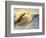 Ocean Wave Breaking-David Pu'u-Framed Photographic Print