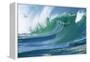 Ocean Waves-Rick Doyle-Framed Premier Image Canvas