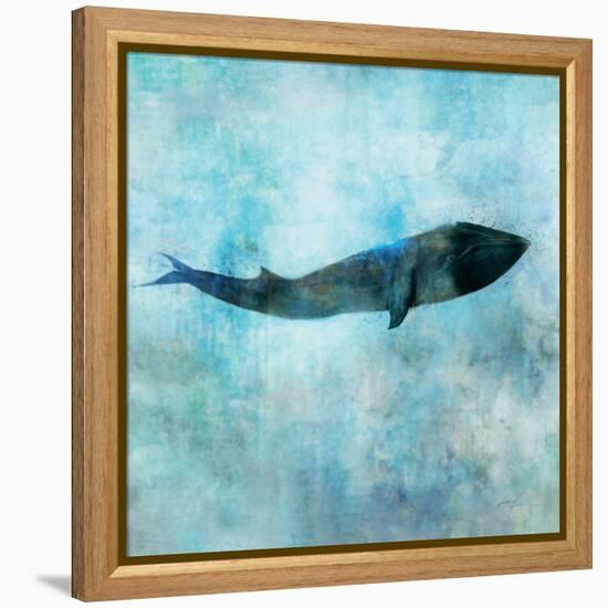 Ocean Whale 1-Ken Roko-Framed Stretched Canvas