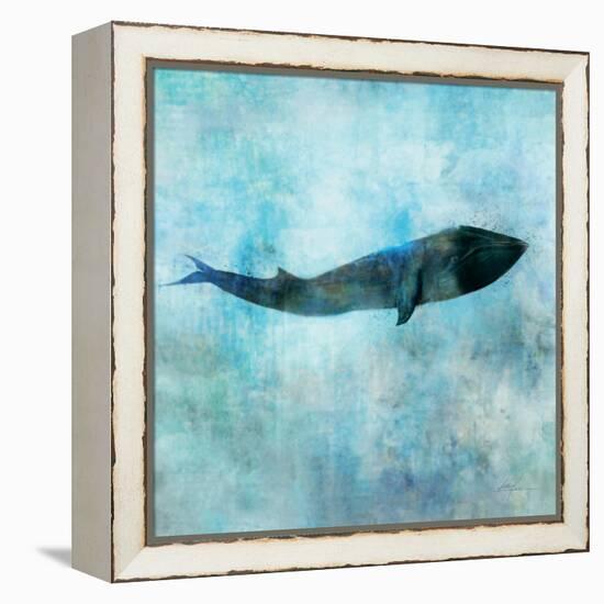 Ocean Whale 1-Ken Roko-Framed Stretched Canvas