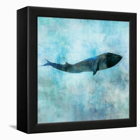 Ocean Whale 1-Ken Roko-Framed Stretched Canvas