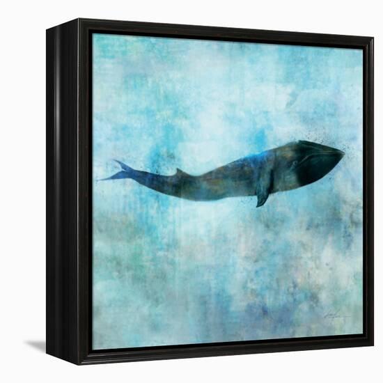 Ocean Whale 1-Ken Roko-Framed Stretched Canvas