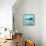 Ocean Whale 1-Ken Roko-Framed Stretched Canvas displayed on a wall