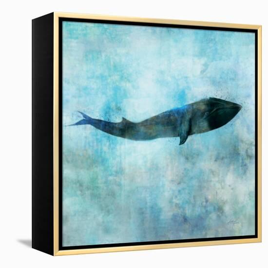 Ocean Whale 1-Ken Roko-Framed Stretched Canvas