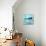 Ocean Whale 1-Ken Roko-Premium Giclee Print displayed on a wall