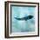 Ocean Whale 1-Ken Roko-Framed Art Print