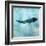 Ocean Whale 1-Ken Roko-Framed Art Print