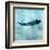 Ocean Whale 1-Ken Roko-Framed Art Print