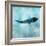 Ocean Whale 1-Ken Roko-Framed Art Print