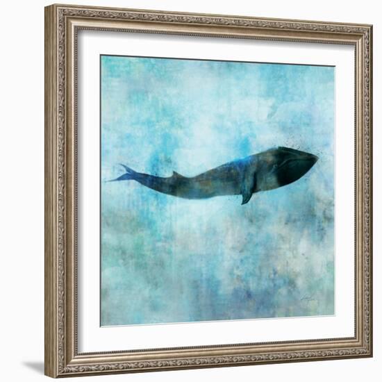 Ocean Whale 1-Ken Roko-Framed Art Print