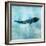 Ocean Whale 1-Ken Roko-Framed Art Print