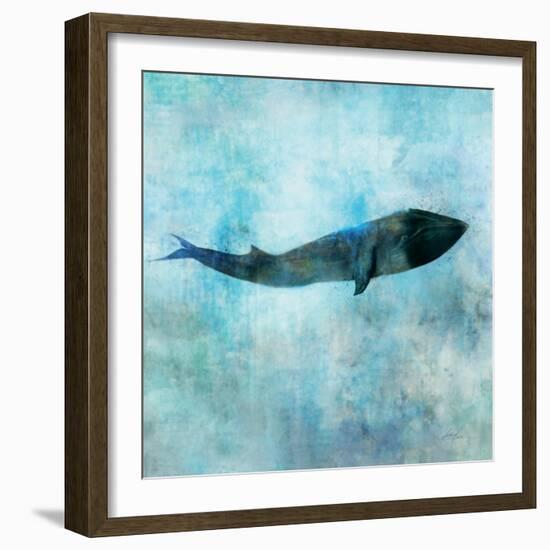 Ocean Whale 1-Ken Roko-Framed Art Print