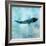 Ocean Whale 1-Ken Roko-Framed Art Print