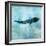 Ocean Whale 1-Ken Roko-Framed Art Print