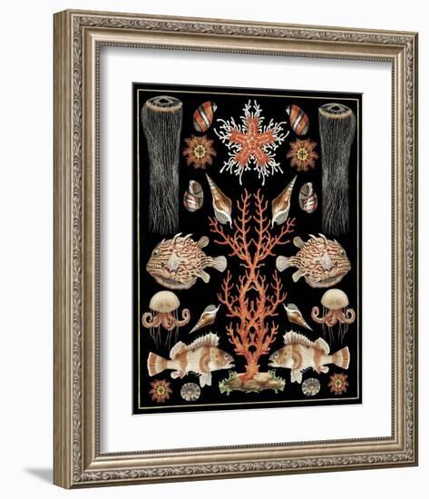 Oceana - Coral Jellyfish-Susan Clickner-Framed Art Print