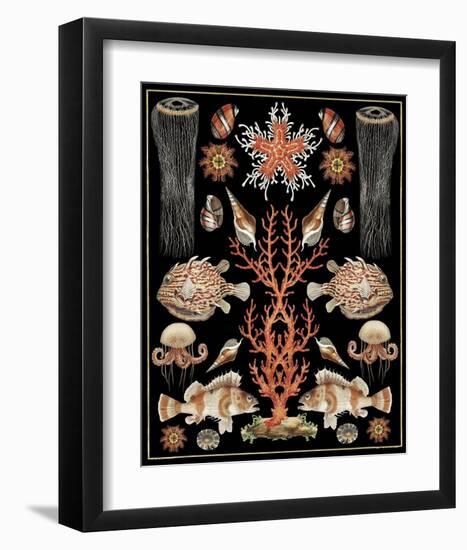 Oceana - Coral Jellyfish-Susan Clickner-Framed Art Print