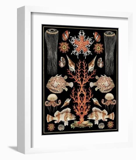 Oceana - Coral Jellyfish-Susan Clickner-Framed Art Print