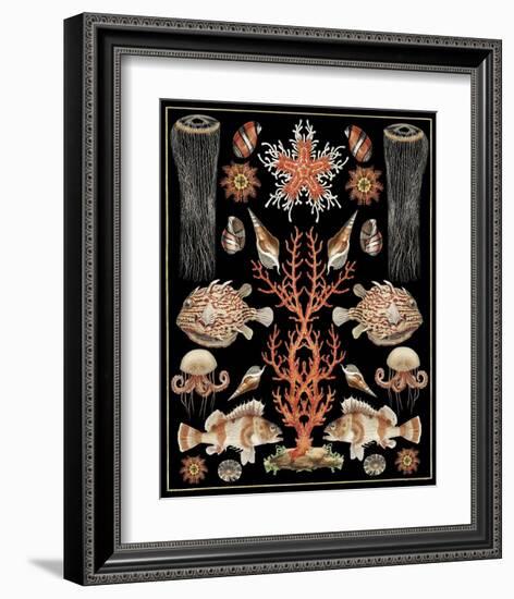 Oceana - Coral Jellyfish-Susan Clickner-Framed Art Print