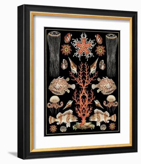 Oceana - Coral Jellyfish-Susan Clickner-Framed Art Print