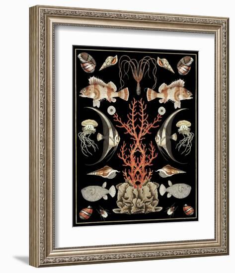 Oceana - Coral on Black-Susan Clickner-Framed Art Print