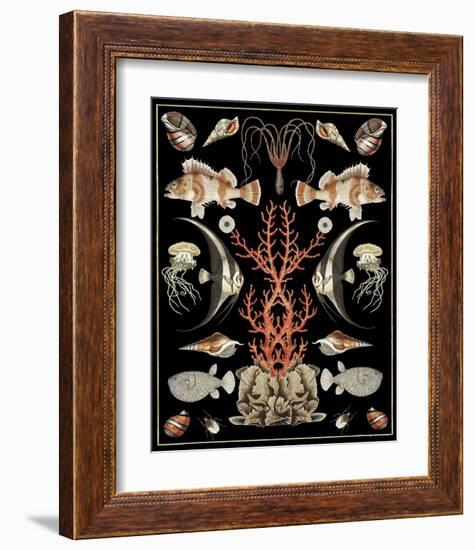 Oceana - Coral on Black-Susan Clickner-Framed Art Print