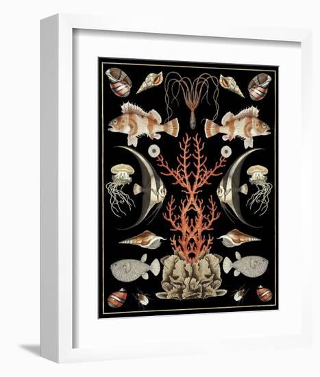 Oceana - Coral on Black-Susan Clickner-Framed Art Print