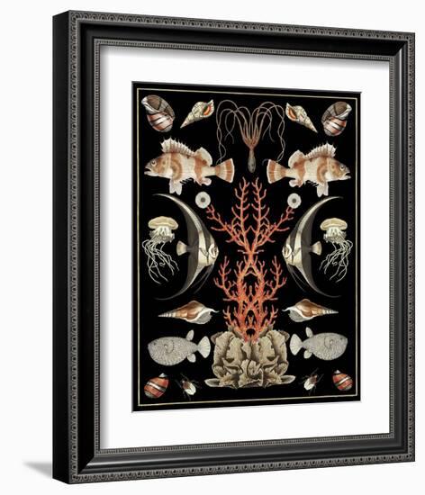 Oceana - Coral on Black-Susan Clickner-Framed Art Print