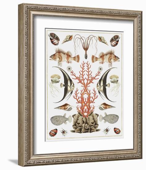 Oceana - Coral on White-Susan Clickner-Framed Art Print