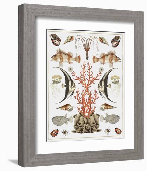 Oceana - Coral on White-Susan Clickner-Framed Art Print