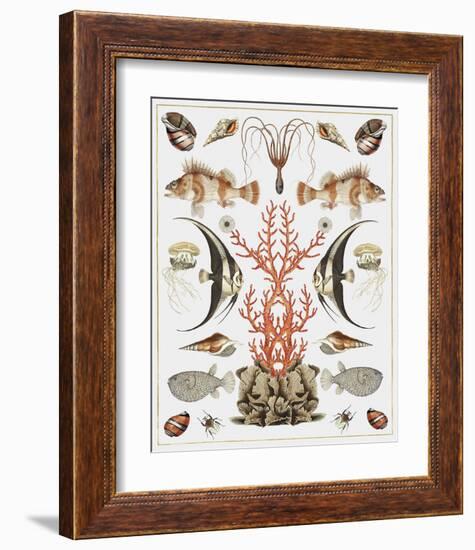 Oceana - Coral on White-Susan Clickner-Framed Art Print