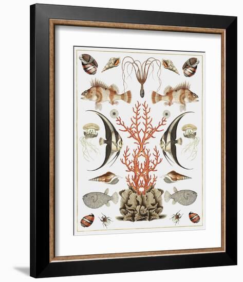 Oceana - Coral on White-Susan Clickner-Framed Art Print