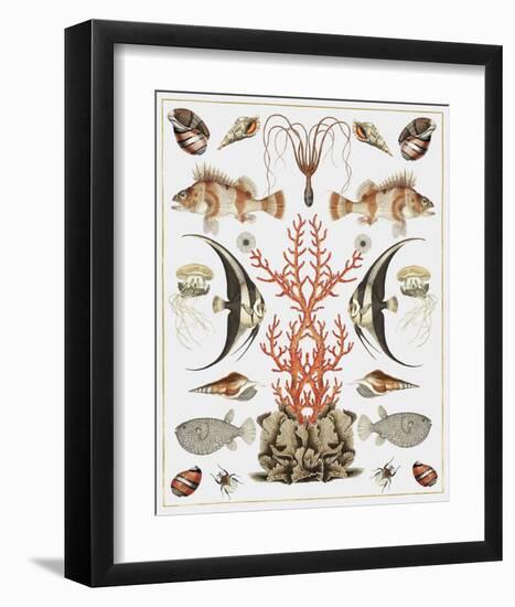 Oceana - Coral on White-Susan Clickner-Framed Art Print