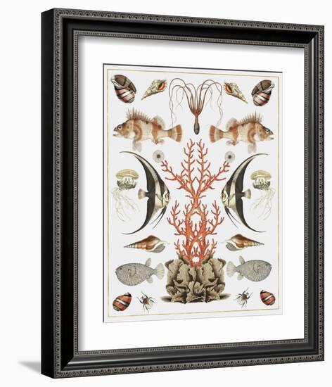 Oceana - Coral on White-Susan Clickner-Framed Art Print