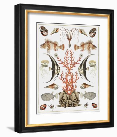 Oceana - Coral on White-Susan Clickner-Framed Art Print