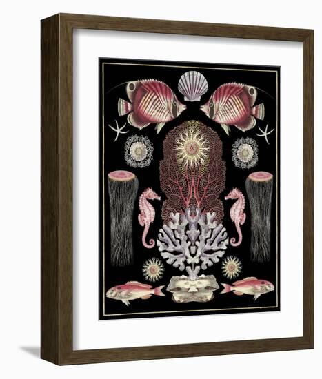 Oceana - Pink on Black-Susan Clickner-Framed Art Print