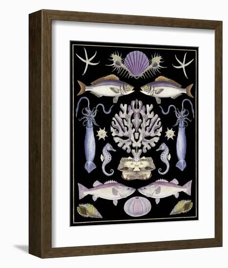 Oceana - Purple on Black-Susan Clickner-Framed Art Print