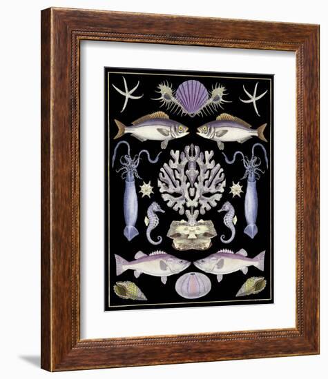 Oceana - Purple on Black-Susan Clickner-Framed Art Print