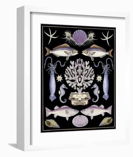 Oceana - Purple on Black-Susan Clickner-Framed Art Print