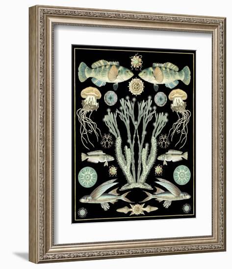 Oceana - Spa on Black-Susan Clickner-Framed Art Print