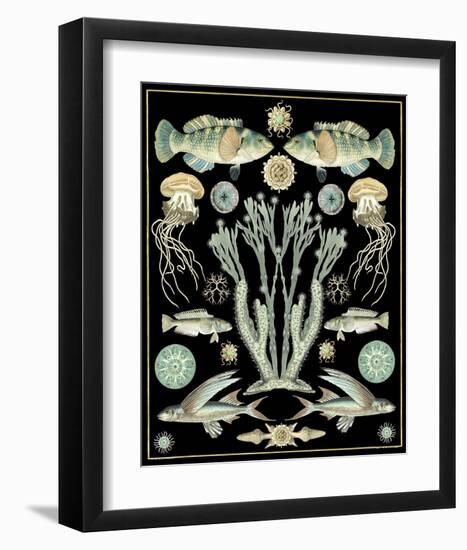 Oceana - Spa on Black-Susan Clickner-Framed Art Print