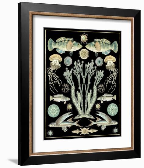 Oceana - Spa on Black-Susan Clickner-Framed Art Print