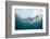 Oceanic Black-Tip Shark and Remora, KwaZulu-Natal, South Africa-Pete Oxford-Framed Photographic Print